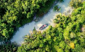 download (1).jpg download (1).jpg