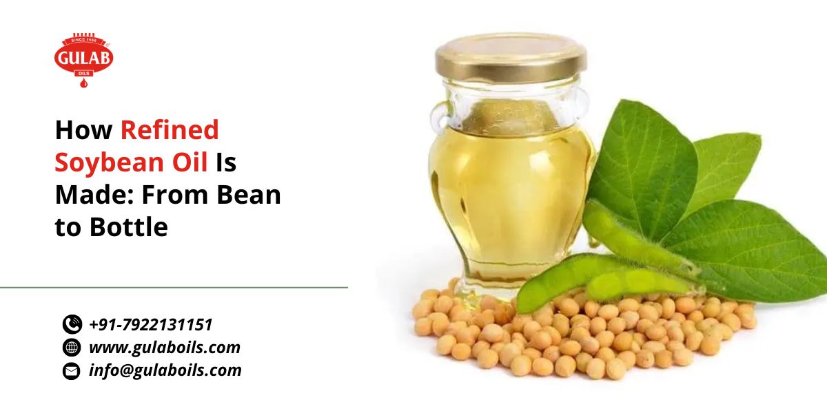 how-refined-soybean-oil-is-made-from-bean-to-bottle.jpg