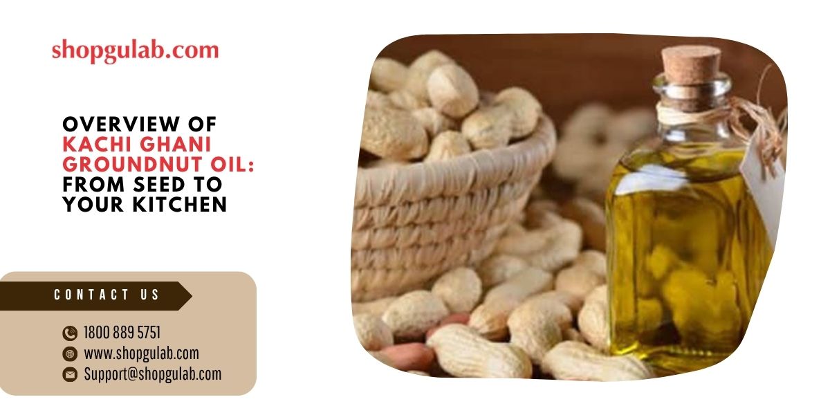 Overview of Kachi Ghani Groundnut Oil From Seed to Your Kitchen.jpg